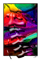 Rainbow 3M Lateral Cervical 2