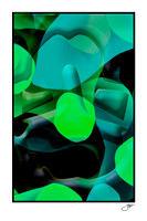 Green Gallery