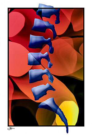 RED BLU YEL - Lumbar