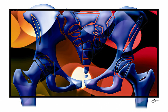 RED BLU YEL - Pelvis
