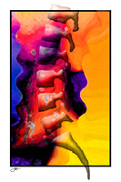 Rainbow Gallery