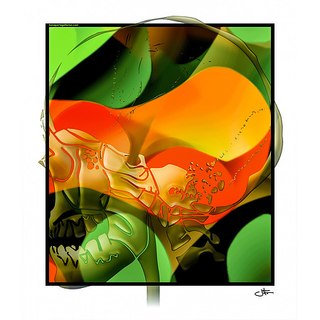 Brown Lateral Skull -